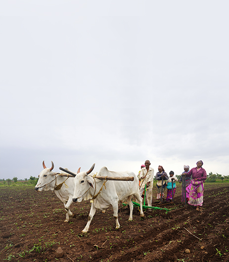 Agriculture Finance Land Development banner