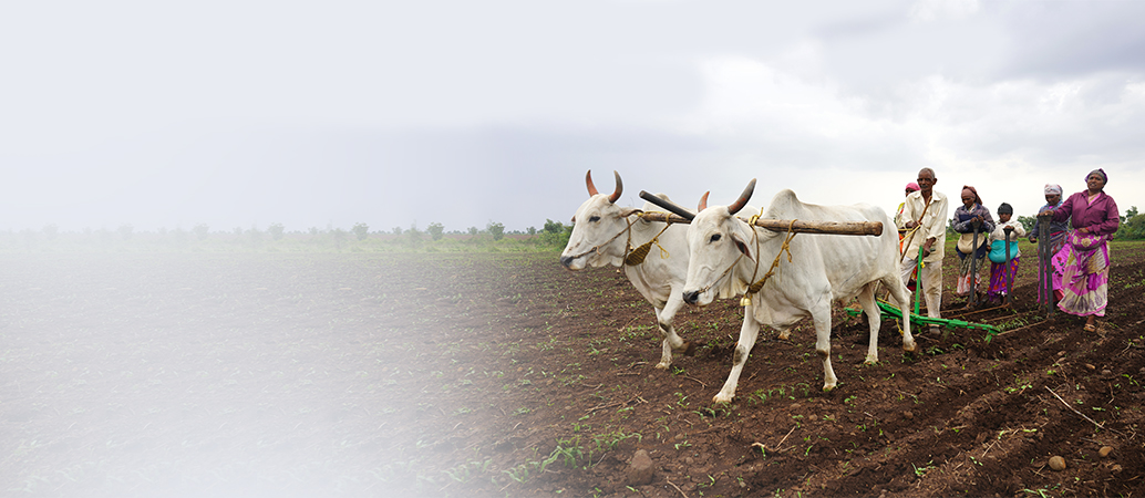 Agriculture Finance Land Development banner