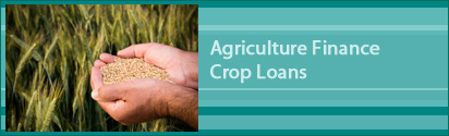 Agriculture Finance Crop Loans - Crop Loan with Kisan Credit Card